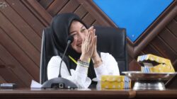 Bantu Perajin, Andi Dwiyanti Musrifah Gagas Program SIP OK DEH