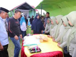 Hadir Pada Syukuran Panen Raya Padi, Basli Ali Bantu Alsintan Petani Sawah Desa Ujung