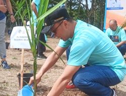 Pj. Gubernur Prof. Zudan didampingi Bupati Basli Ali Melakukan Penanaman Pohon di Puncak Tanadoang