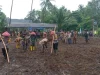 Pemkab Bersama Polres Selayar Turut Serta Dalam Penanaman Jagung Serentak 1 Juta Hektar