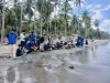 Pelepasan Tukik di Ekowisata Kawasan Penyangga Konservasi Sumingi