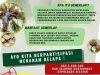 Pemkab Selayar Ajak Masyarakat Berpartisipasi Dalam Menyukseskan Program Gemerlap