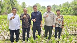Kepala BRMP Kementan Prof Fadjry Tinjau Selayar, Pastikan Kesiapan Kunjungan Menteri Pertanian