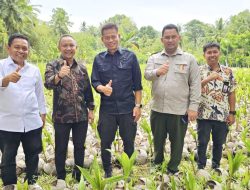 Kepala BRMP Kementan Prof Fadjry Tinjau Selayar, Pastikan Kesiapan Kunjungan Menteri Pertanian