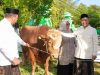 Presiden Prabowo Salurkan Hewan Kurban 1 Ton untuk Masyarakat Selayar, Disembelih di Masjid Agung Al Umaraini
