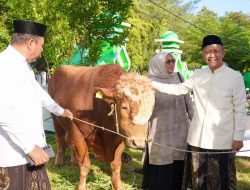 Presiden Prabowo Salurkan Hewan Kurban 1 Ton untuk Masyarakat Selayar, Disembelih di Masjid Agung Al Umaraini