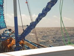 Manifest KLM Nurul Salsa Terungkap, Angkut 46 Penumpang dan 17 Ton Muatan, 6 Orang Telah Dievakuasi