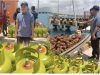 Bupati Natsir Ali Kawal Langsung Kedatangan Ribuan Tabung LPG, 600 Tabung Baru Disiapkan